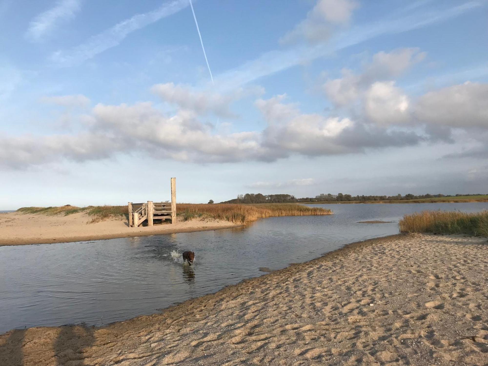 Ferienhaus Nele Ostseebad Kühlungsborn Kültér fotó